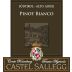 Castel Sallegg Sudtirol-Alto Adige Pinot Grigio 2015 Front Label