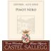 Castel Sallegg Sudtirol-Alto Adige Pinot Nero 2014 Front Label