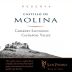 Castillo de Molina Reserva Cabernet Sauvignon 2011 Front Label
