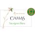 Cave Anne de Joyeuse Camas Sauvignon Blanc 2015 Front Label