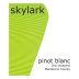 Skylark Orsi Vineyard Pinot Blanc 2013 Front Label