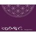 Celler Cosmic Vinyaters Sauvignon Blanc 2014 Front Label