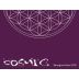 Celler Cosmic Vinyaters Sauvignon Blanc 2012 Front Label