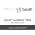Domaine Pavelot Savigny-Les-Beaune Les Peuillets Premier CRU 2013 Front Label