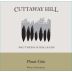 Cuttaway Hill Estate Pinot Gris 2011 Front Label
