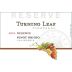 Turning Leaf Reserve Pinot Grigio 2004 Front Label