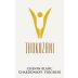Diemersfontein Wine and Country Estate Thokozani Chenin Blanc Viognier Chardonnay 2012 Front Label