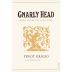 Gnarly Head Pinot Grigio 2016 Front Label