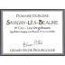 Domaine Dublere Savigny-les-Beaune Les Vergelesses Premier Cru 2013 Front Label