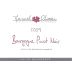 Domaine Manuel Olivier Bourgogne Pinot Noir 2009 Front Label
