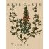 Arbe Garbe White Blend 2013 Front Label