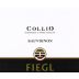 Fiegl Vini Collio Sauvignon Blanc 2014 Front Label