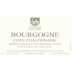 Francois D'Allaines Bourgogne Cote Chalonnaise 2013 Front Label