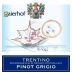 Gaierhof Trentino Pinot Grigio 2015 Front Label