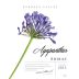 Agapanthus Shiraz 2013 Front Label