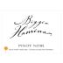 Biggio Hamina Cellars Deux Vert Vineyard Pinot Noir 2013 Front Label