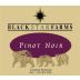 Black Star Farms Pinot Noir 2013 Front Label