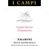 I Campi Amarone della Valpolicella Campo Marna Cinquecento 2005 Front Label