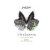 Javier Sanz Viticultor Coleccion V Malcorta Verdejo Singular 2014 Front Label