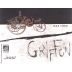 Mas Theo Grignan les Adhemar Selection Griffon 2009 Front Label