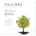Yalumba Y Series Riesling 2016 Front Label