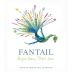 Morgenhof Wine Estate Fantail Sauvignon Blanc Chenin Blanc 2010 Front Label