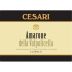 Cesari Amarone della Valpolicella Classico 2013 Front Label