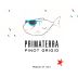 Prima Terra Srl delle Venezie Pinot Grigio 2015 Front Label