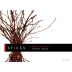Sticks Pinot Noir 2012 Front Label