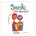 Viu Manent Secreto Syrah 2013 Front Label