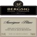 Bergsig Sauvignon Blanc 2011 Front Label