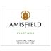 Amisfield Pinot Gris 2010 Front Label