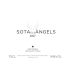 Sota els Angels Tinto 2007 Front Label
