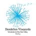 Dandelion Vineyards Wonderland of the Eden Valley Riesling 2012 Front Label