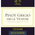 DueTorri Pinot Grigio 2013 Front Label