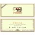 Pighin Pinot Grigio 2012 Front Label