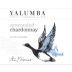 Yalumba Y Series Unwooded Chardonnay 2017 Front Label