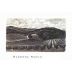 Abreu Vineyards Madrona Ranch 2011 Front Label