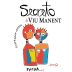 Viu Manent Secreto Syrah 2009 Front Label