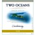 Two Oceans Chardonnay 2009 Front Label