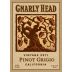 Gnarly Head Pinot Grigio 2011 Front Label