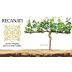 Recanati Reserve Syrah/Viognier (OU Kosher) 2010 Front Label