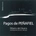 Tintos Pagos de Penafiel Crianza 2010 Front Label