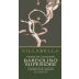 Vigneti Villabella Bardolino Superiore Classico Terre di Cavagion 2007 Front Label