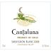 Vina Cantaluna S.A. Sauvignon Blanc 2009 Front Label