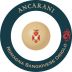 Vini Ancarani Sangiovese di Romagna Oriolo 2013 Front Label