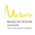 Vins Melaric Saumur Billes de Roche Blanc 2013 Front Label