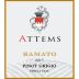 Attems Pinot Grigio Ramato 2017 Front Label