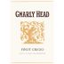 Gnarly Head Pinot Grigio 2017 Front Label