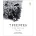 Suertes del Marques 7 Fuentes Listan Negro 2015 Front Label